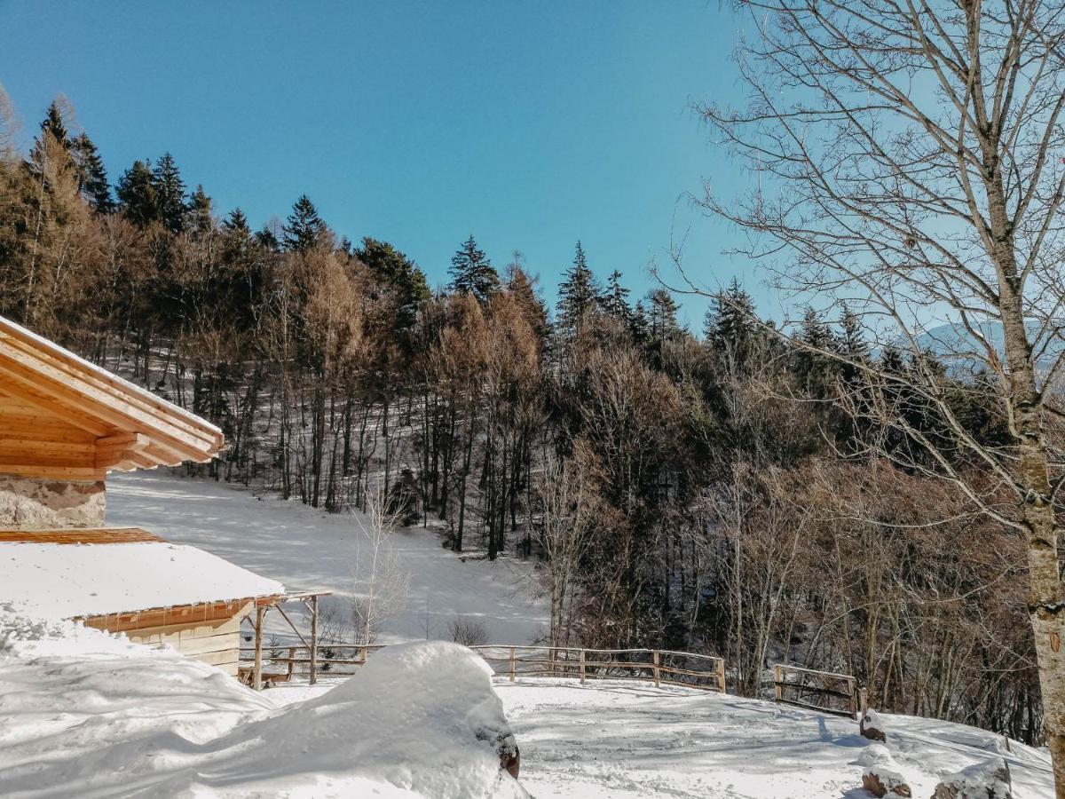 Вилла Odomi Maso Nel Bosco Sant'Orsola Экстерьер фото