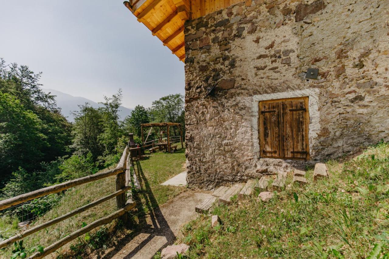 Вилла Odomi Maso Nel Bosco Sant'Orsola Экстерьер фото